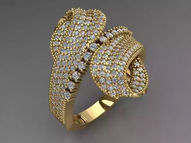 Fancy Ring