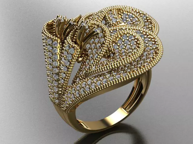Fancy Ring 3D print model_0