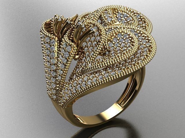 Fancy Ring 3D print model