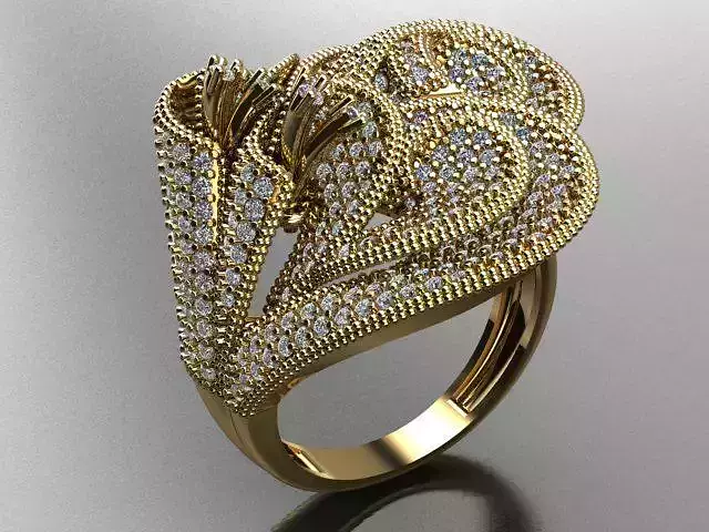 Fancy Ring 3D print model
