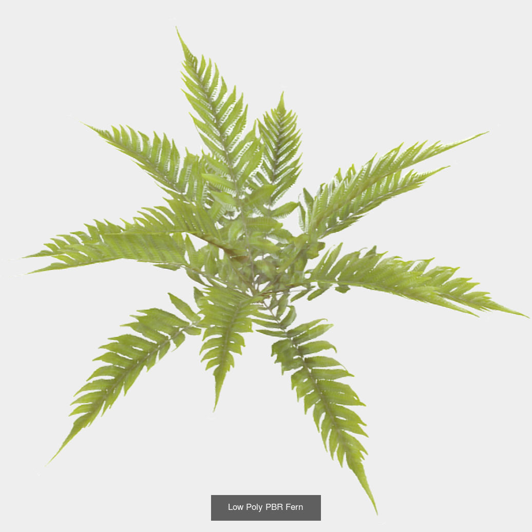 Plants - Foliage and Flora Pack 3D Model Collection_17