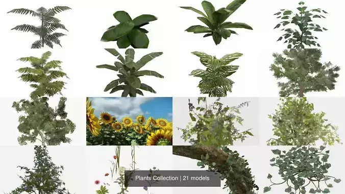Plants - Foliage and Flora Pack 3D Model Collection