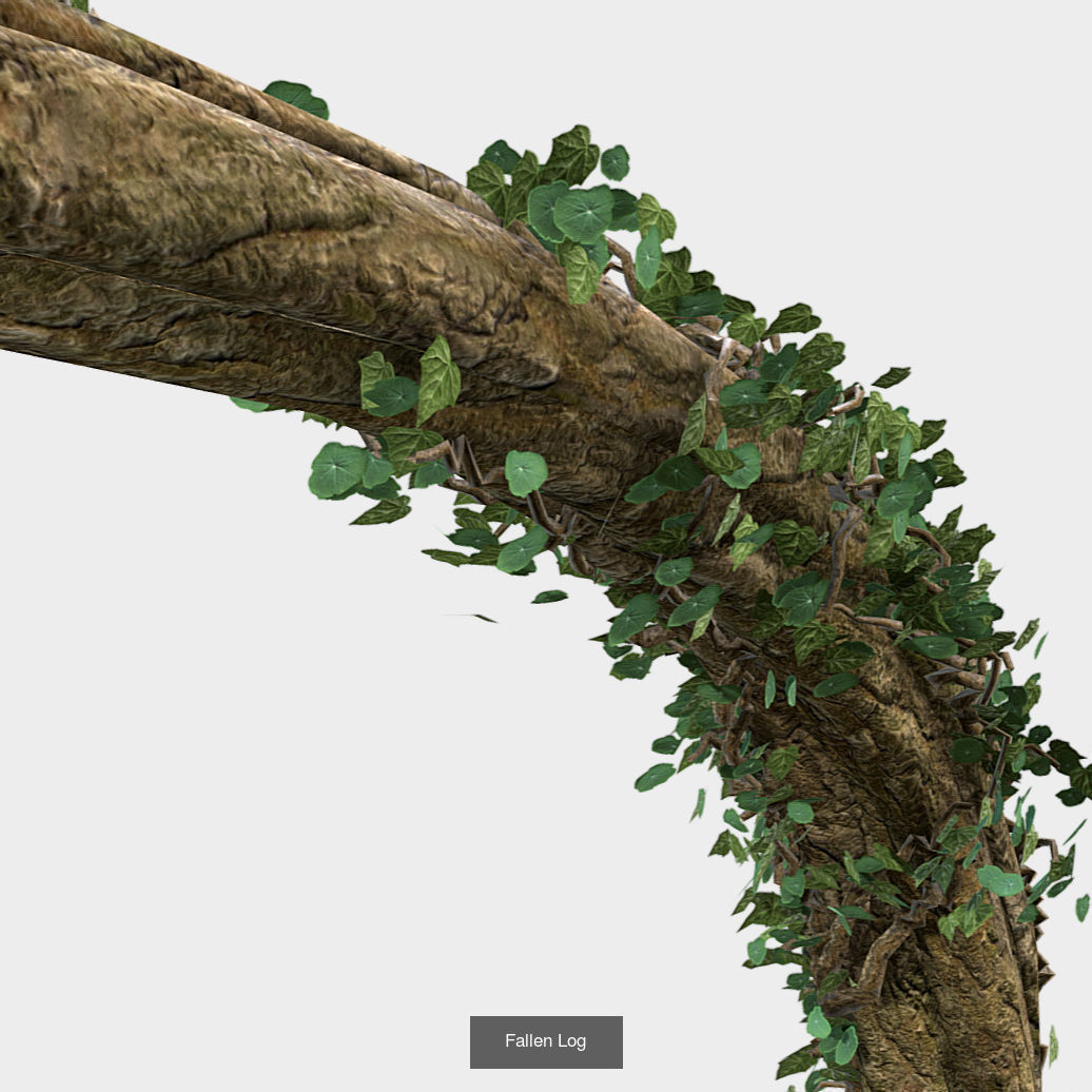Plants - Foliage and Flora Pack 3D Model Collection_15