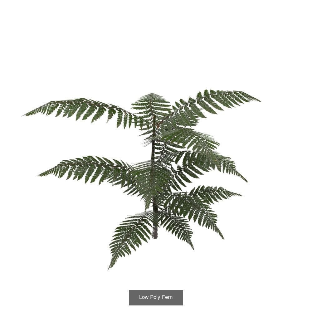 Plants - Foliage and Flora Pack 3D Model Collection_1