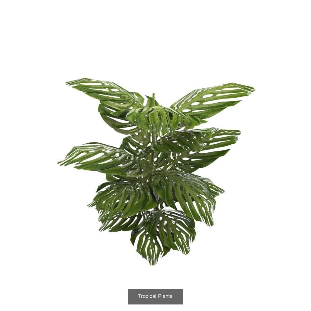 Plants - Foliage and Flora Pack 3D Model Collection_7