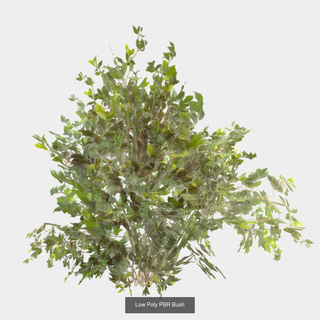 Plants - Foliage and Flora Pack 3D Model Collection_12