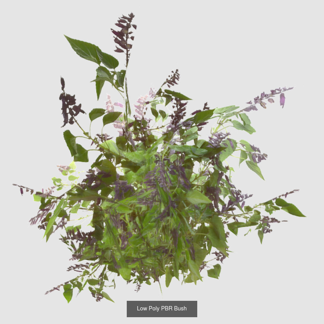 Plants - Foliage and Flora Pack 3D Model Collection_11