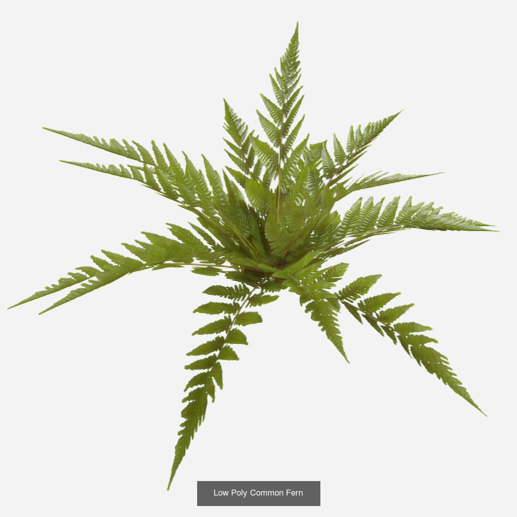 Plants - Foliage and Flora Pack 3D Model Collection_19