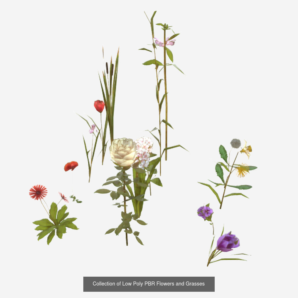 Plants - Foliage and Flora Pack 3D Model Collection_14