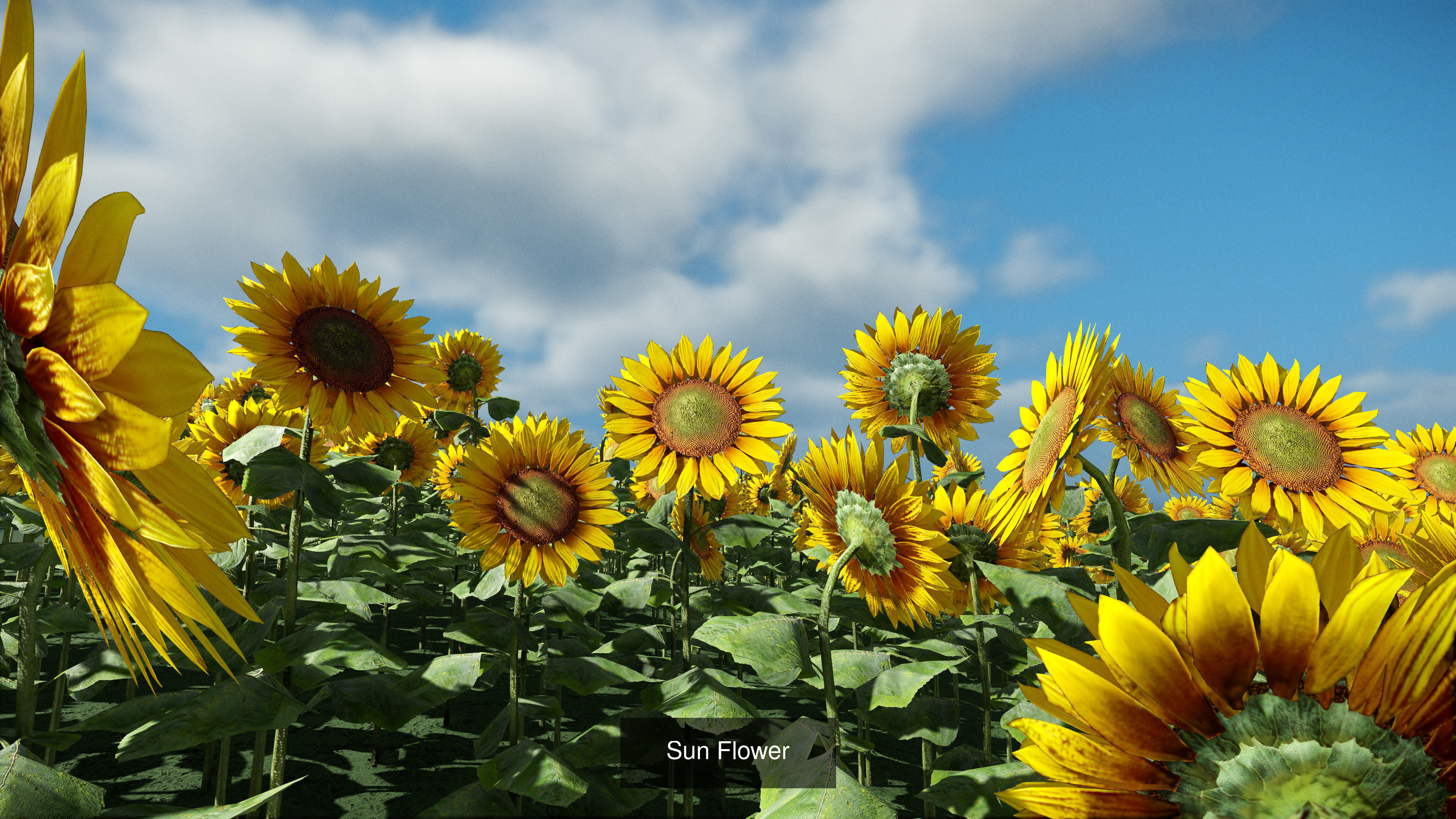 Plants - Foliage and Flora Pack 3D Model Collection_10