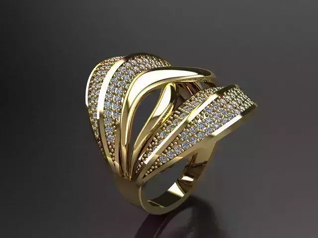 Fancy Ring 3D print model