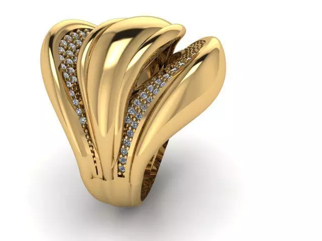 Fancy Ring 3D print model_0