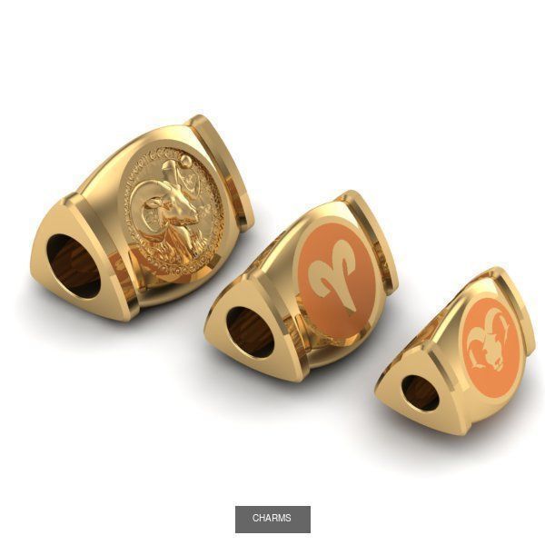 ZODIAC CHARMS 3D Model Collection_5