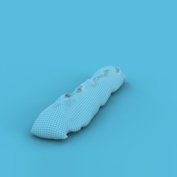 French Bread 3D model_12