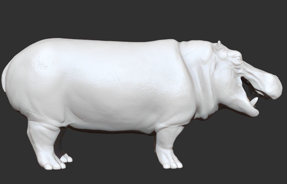 Hippopotamus Rigged 3D model_20
