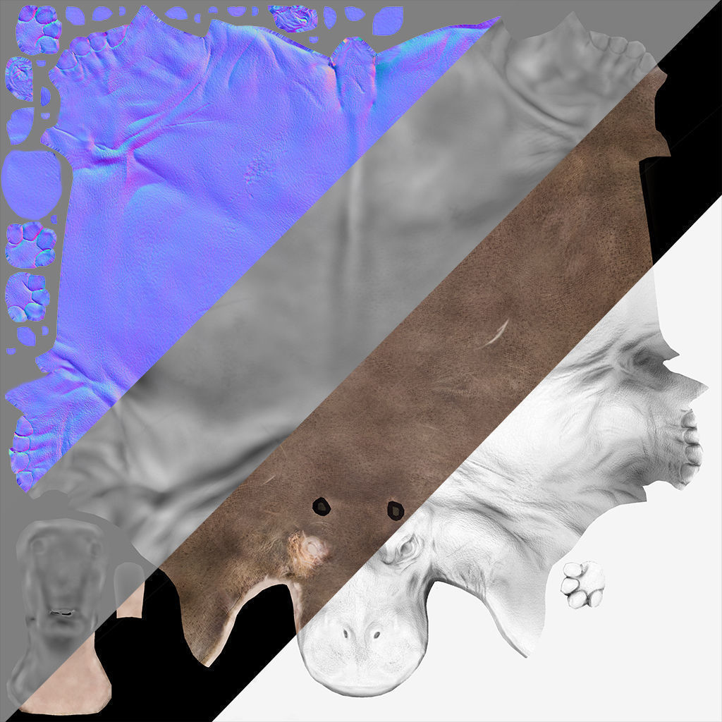 Hippopotamus Rigged 3D model_18