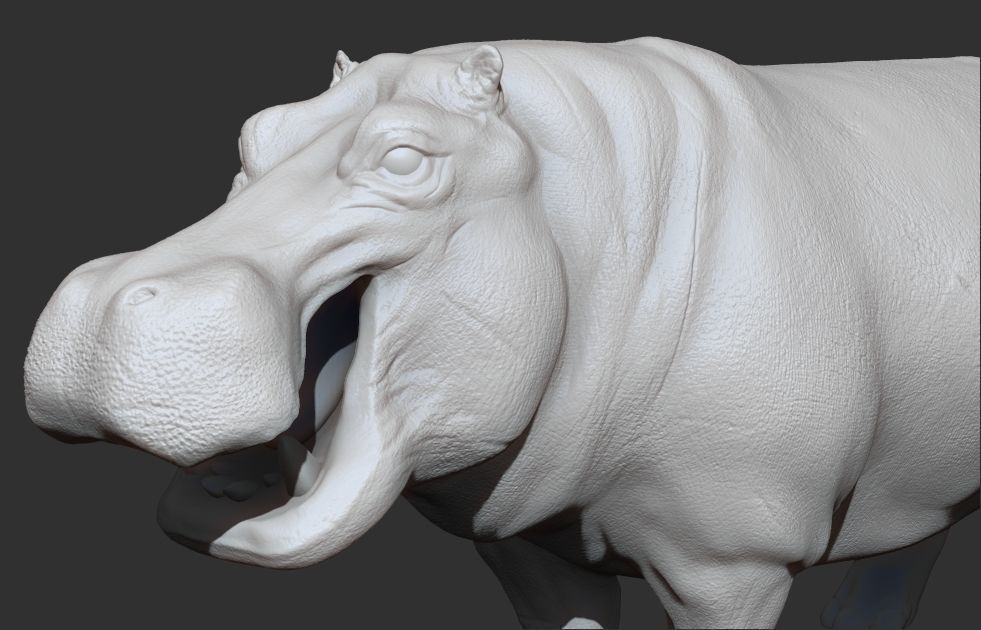 Hippopotamus Rigged 3D model_22