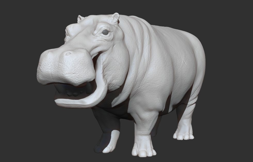 Hippopotamus Rigged 3D model_14