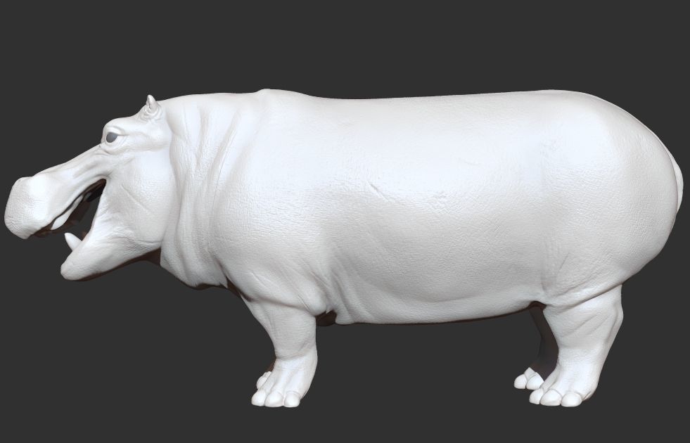 Hippopotamus Rigged 3D model_19