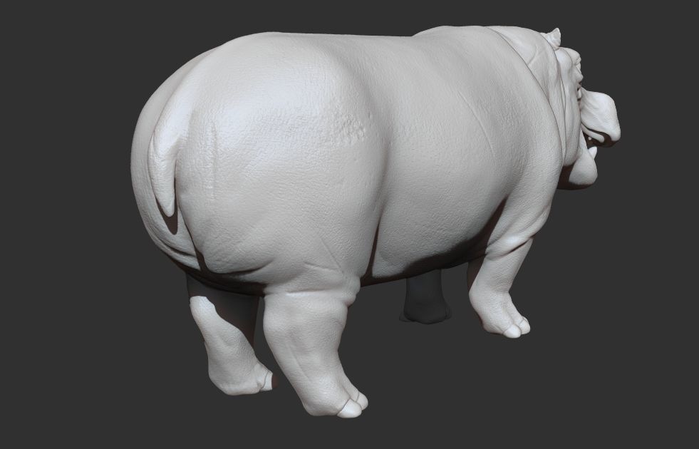 Hippopotamus Rigged 3D model_21