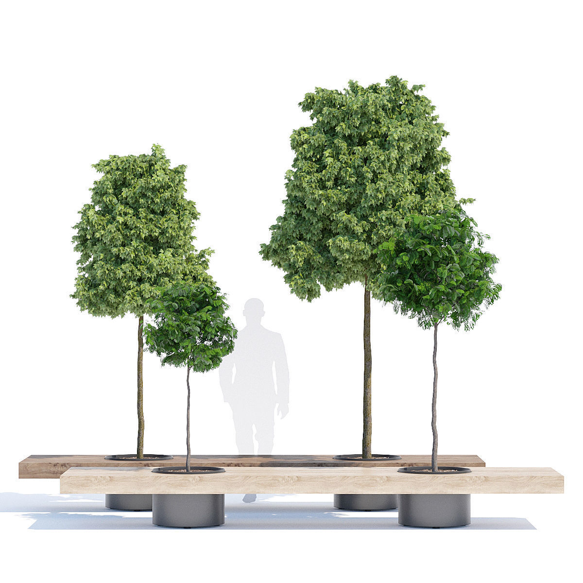 Victor three trees on wooden bench 3D model_1