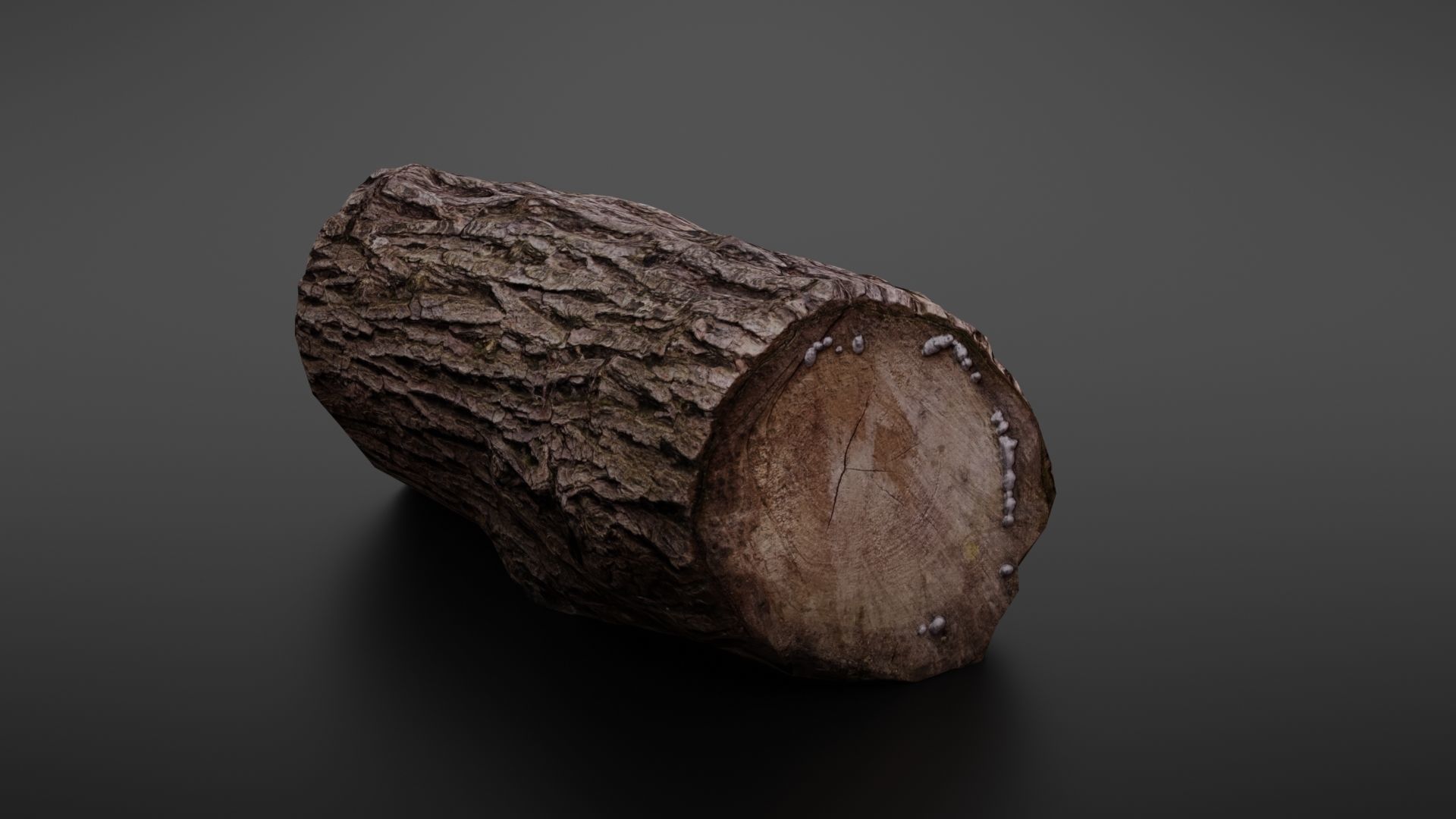 Wood log Low-poly 3D model_12