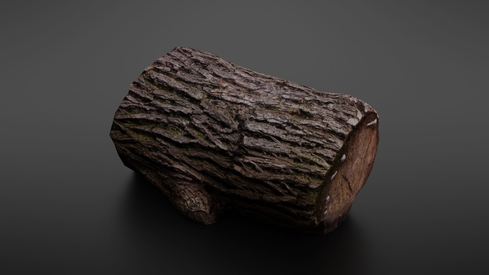 Wood log Low-poly 3D model_4