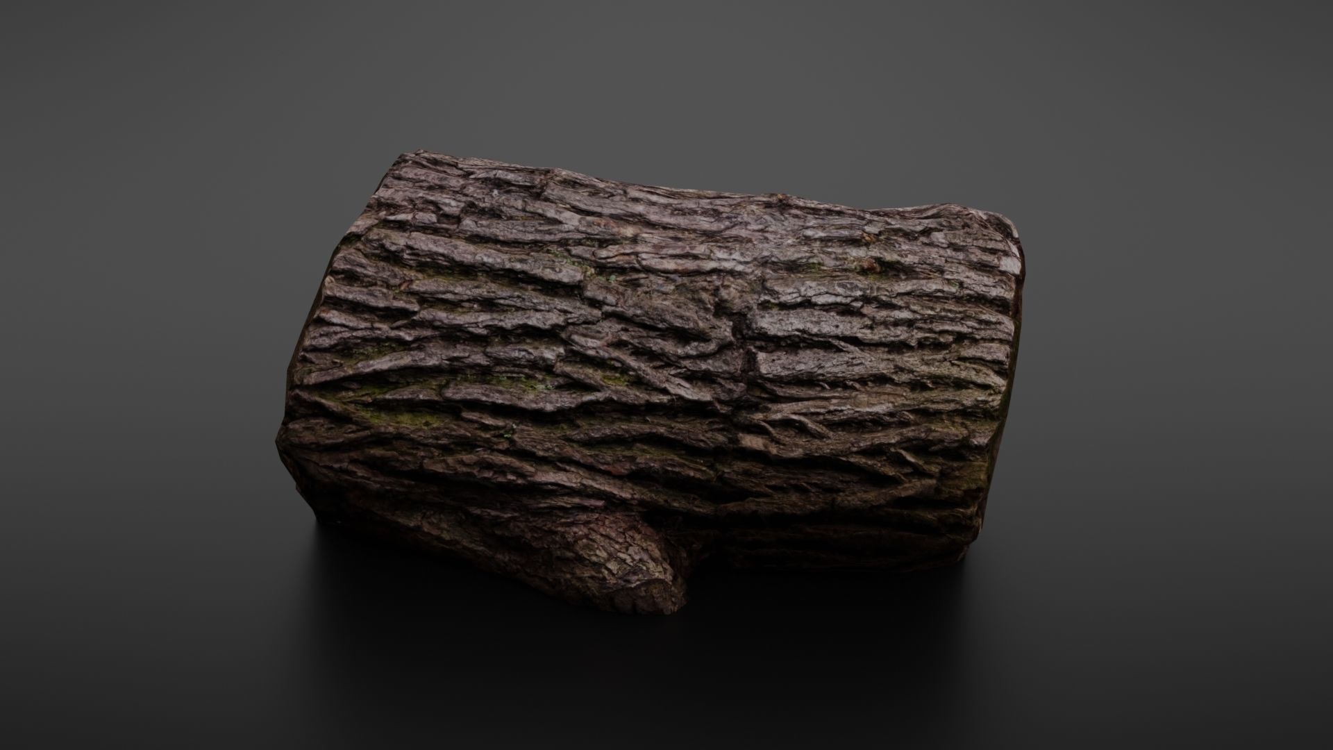 Wood log Low-poly 3D model_6