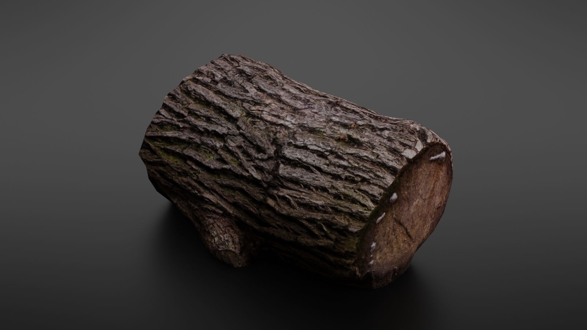Wood log Low-poly 3D model_3