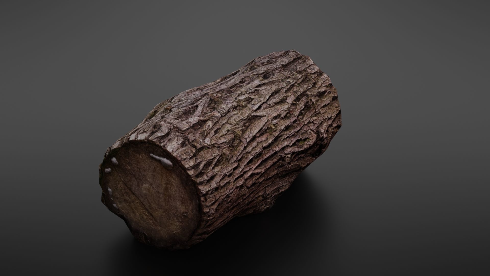 Wood log Low-poly 3D model_16