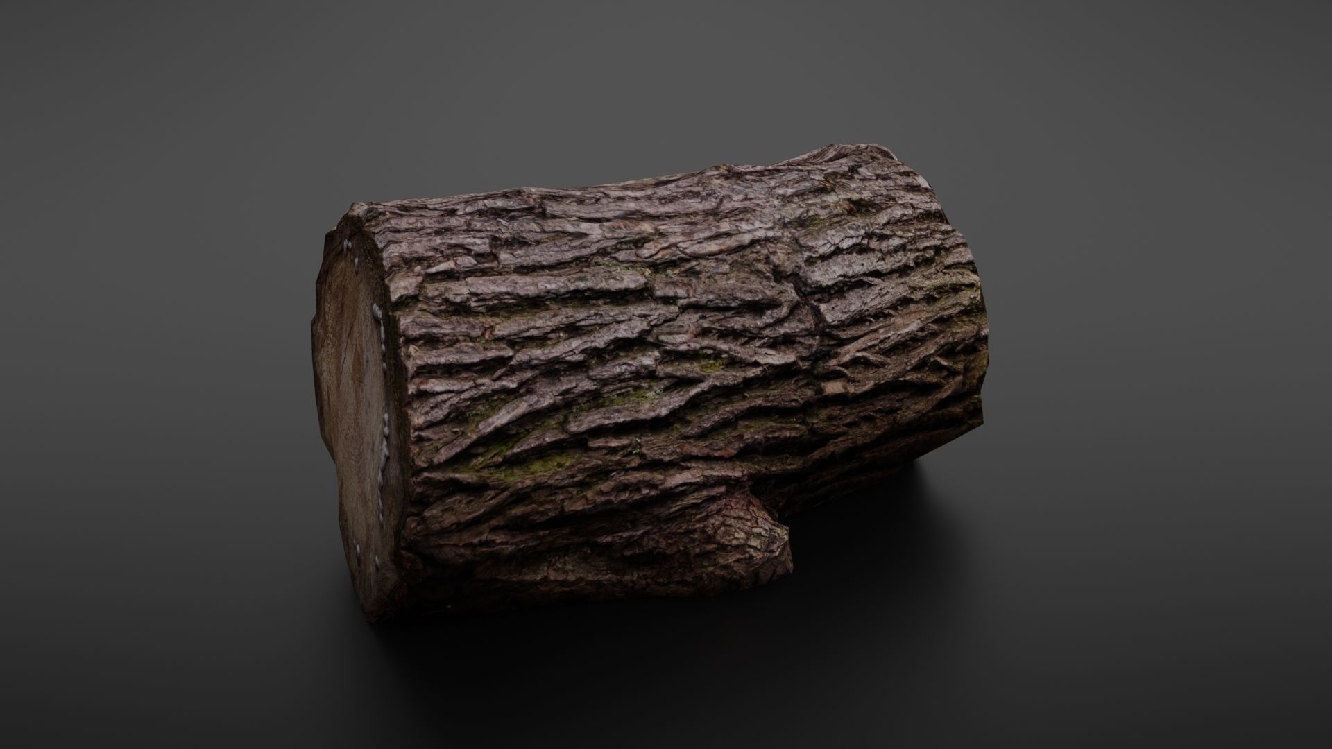 Wood log Low-poly 3D model_8