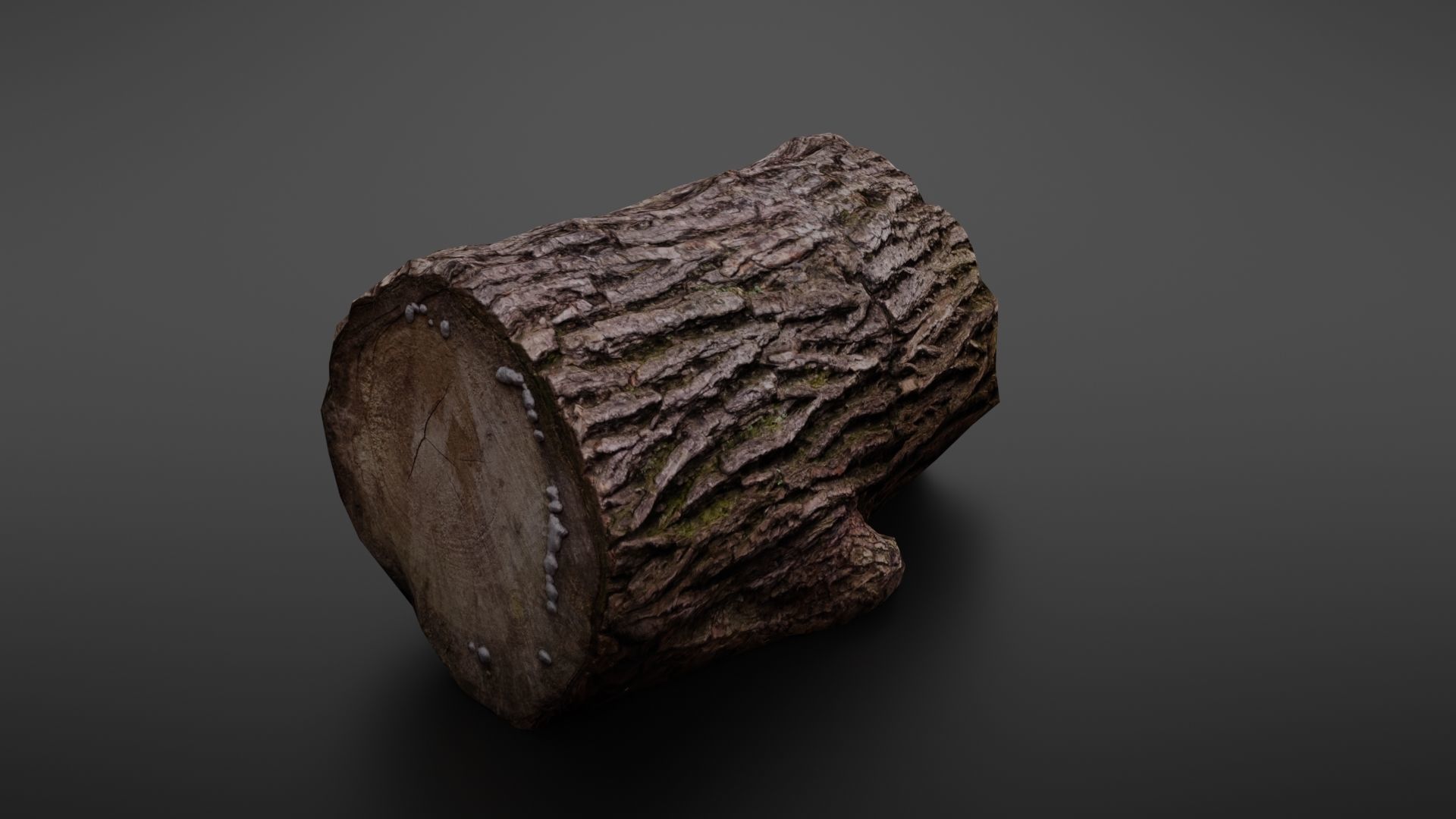 Wood log Low-poly 3D model_9