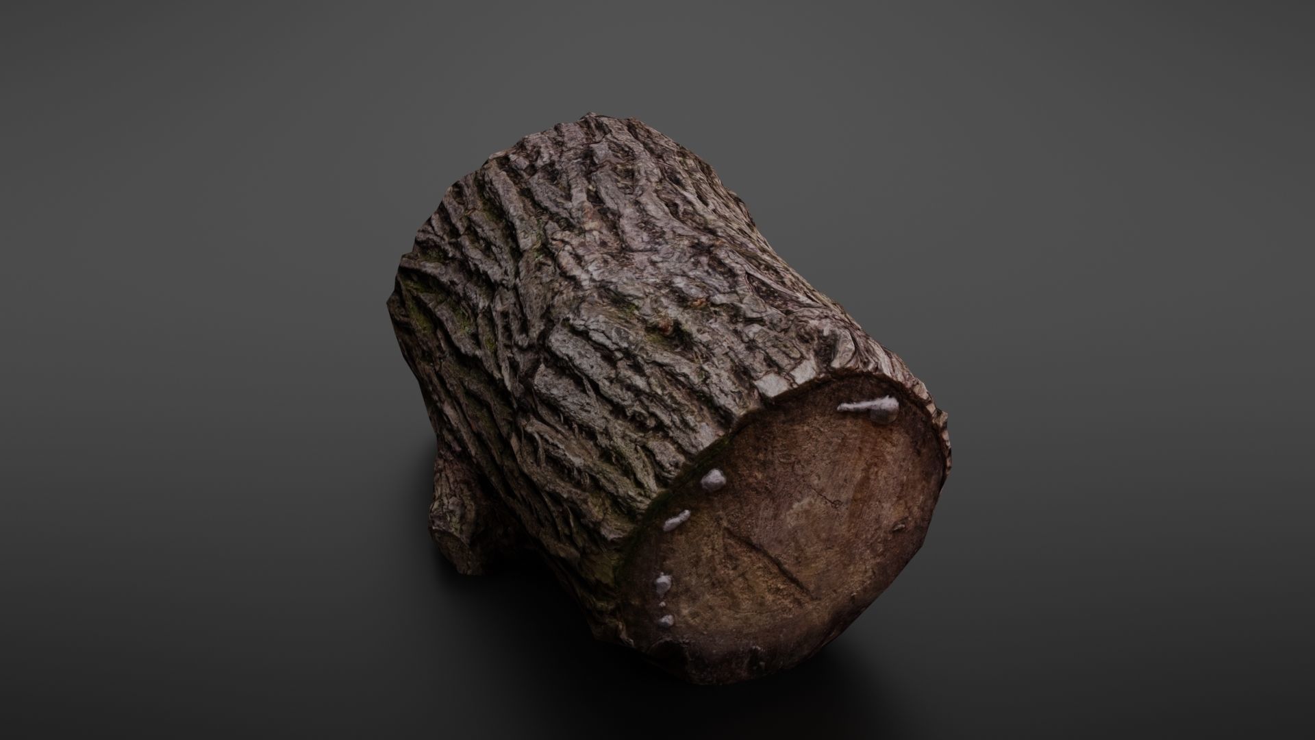 Wood log Low-poly 3D model_19