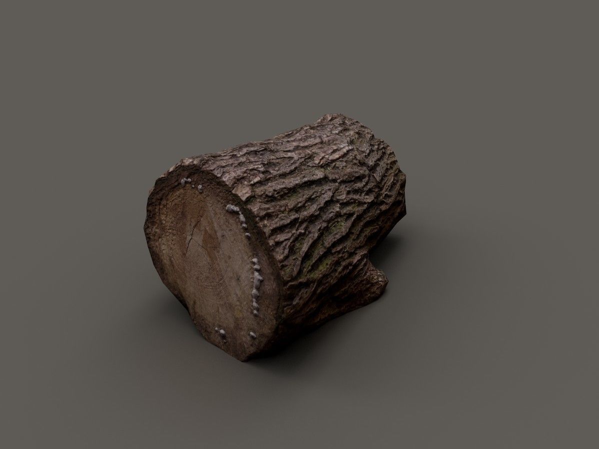 Wood log Low-poly 3D model_1