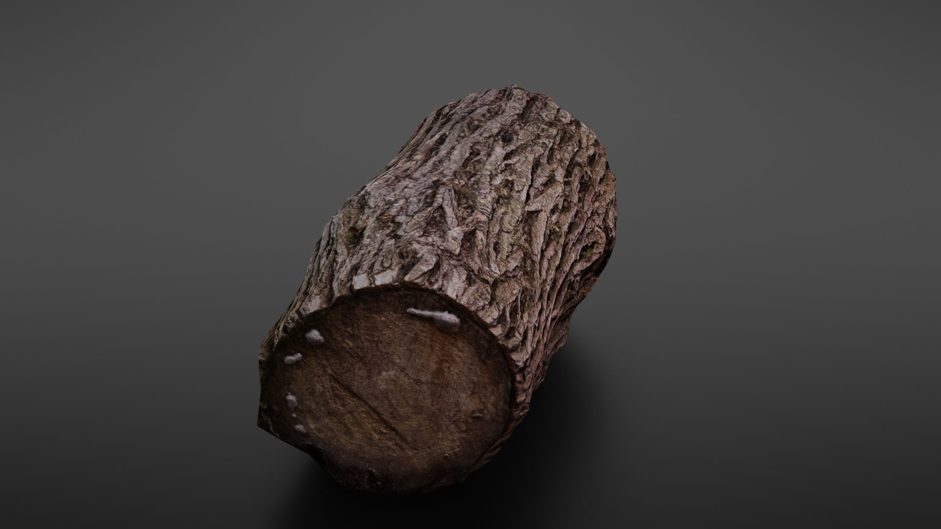 Wood log Low-poly 3D model_17