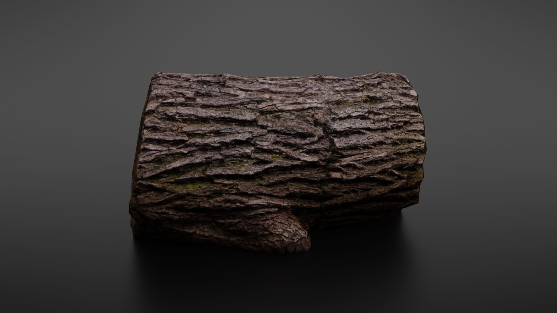 Wood log Low-poly 3D model_7