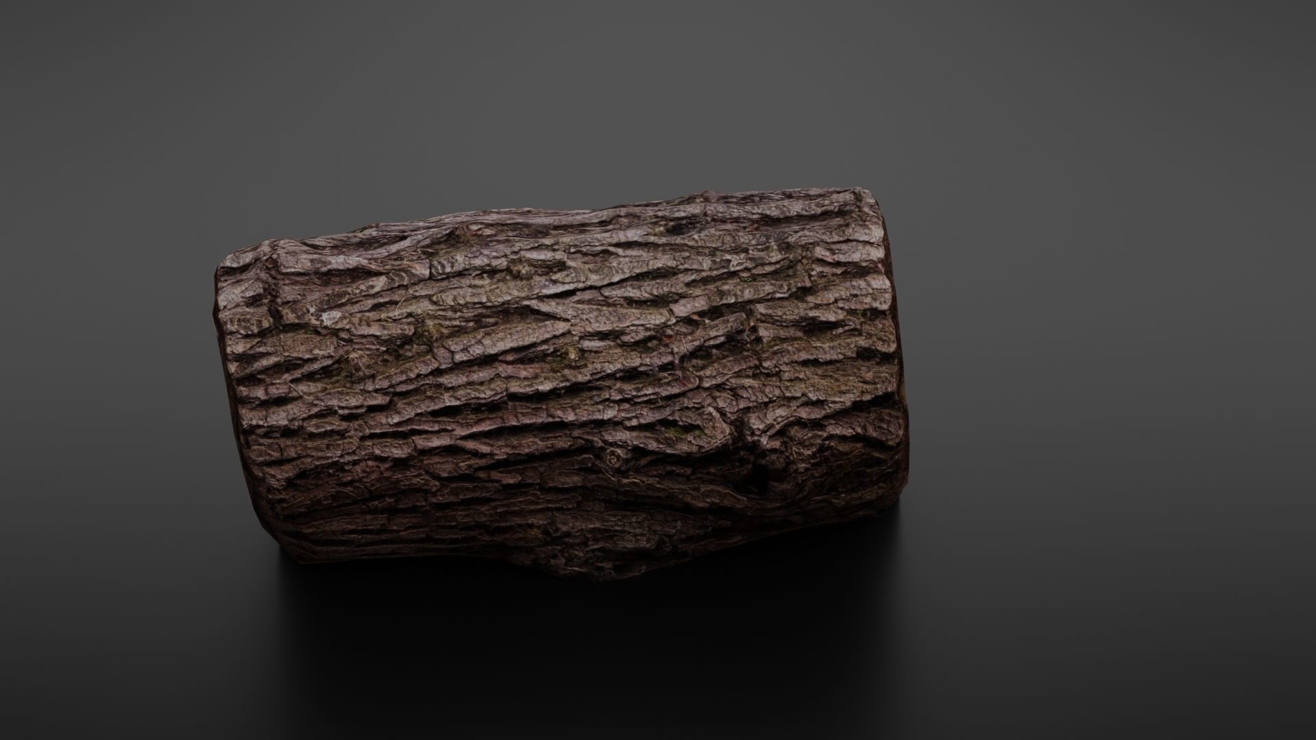 Wood log Low-poly 3D model_14