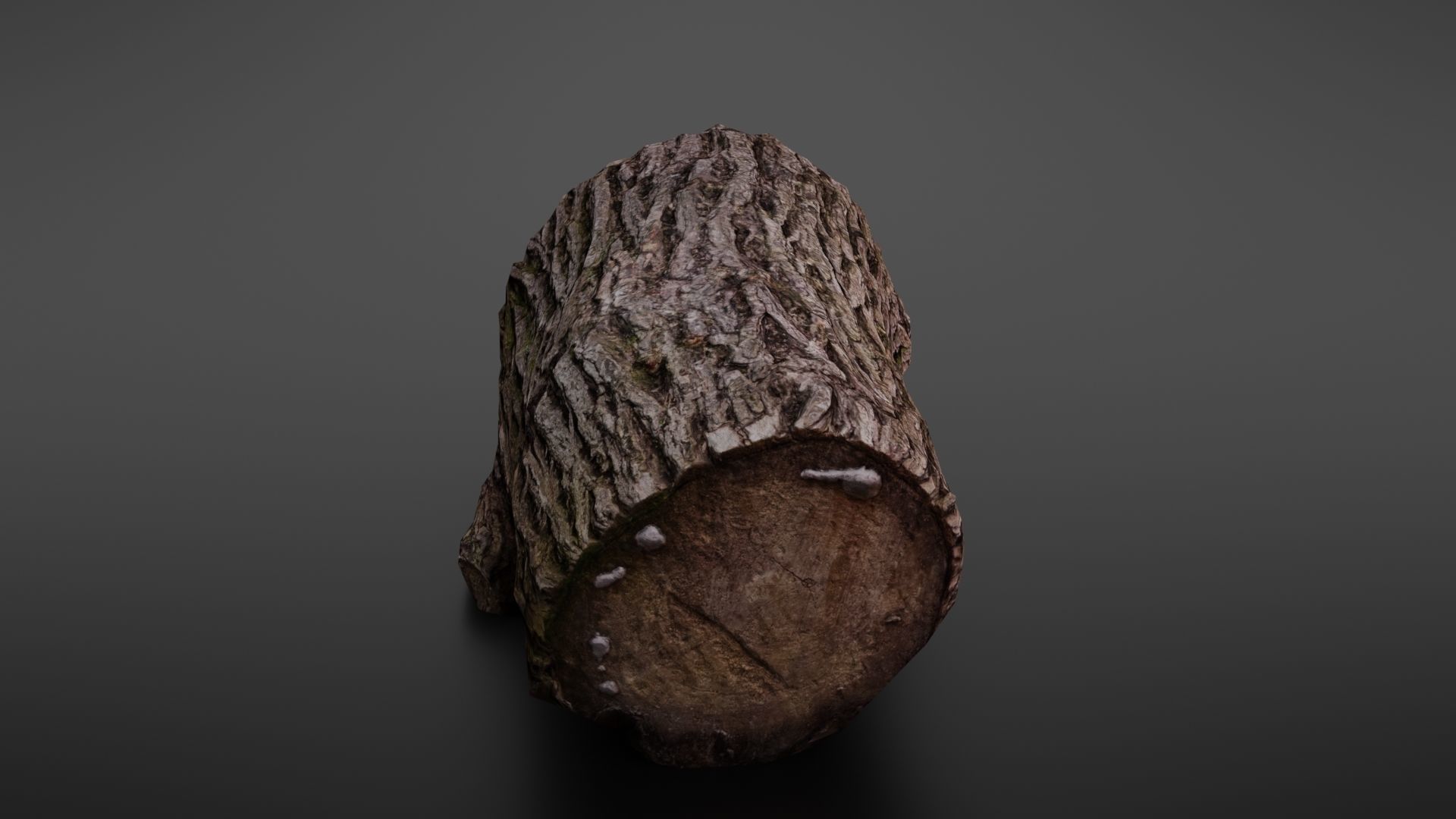Wood log Low-poly 3D model_18