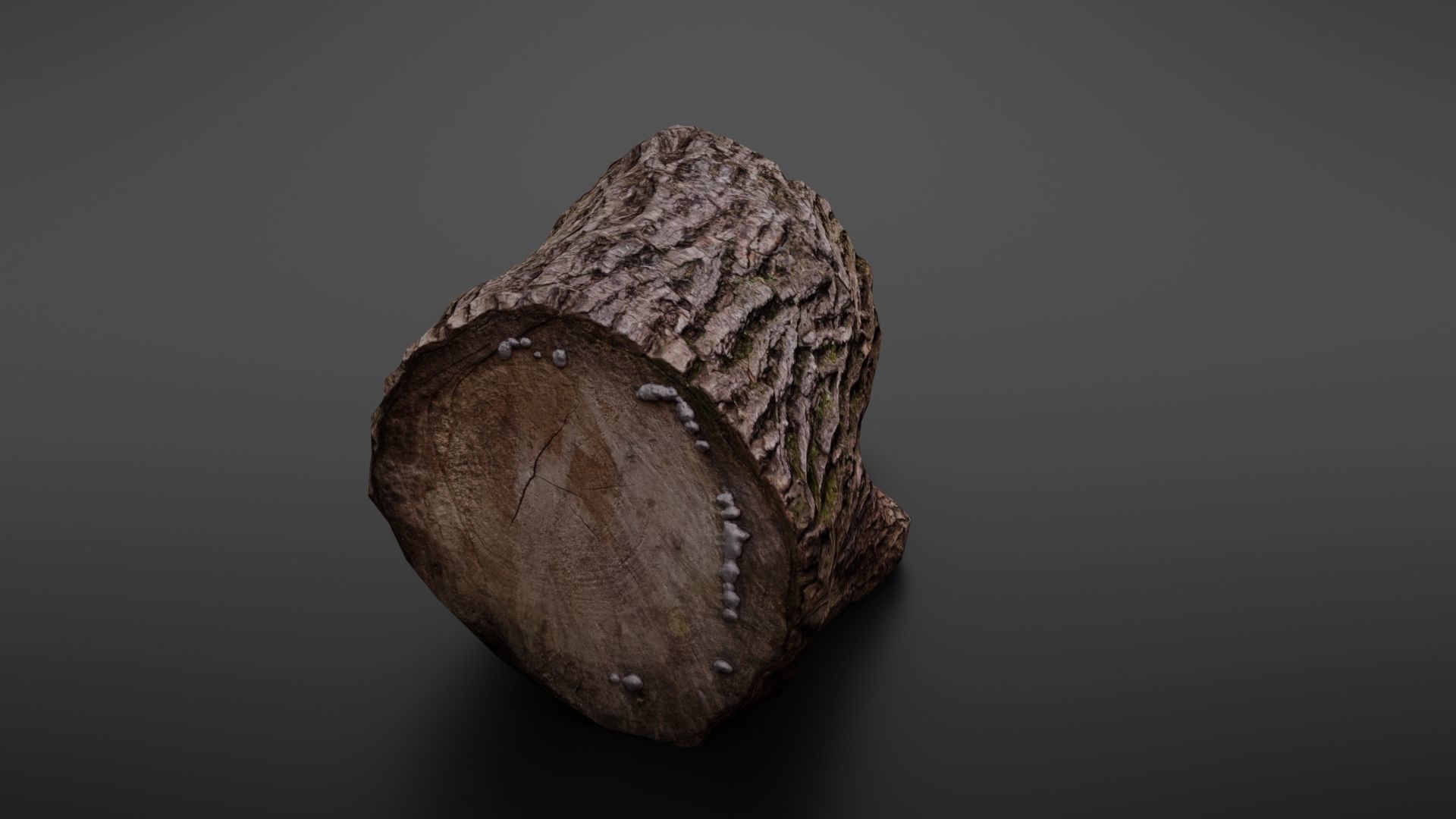 Wood log Low-poly 3D model_10