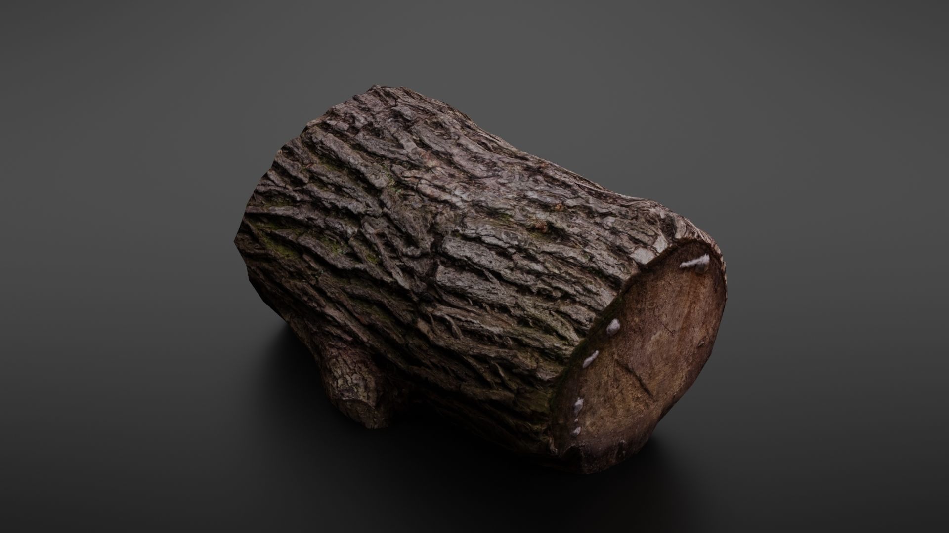 Wood log Low-poly 3D model_21