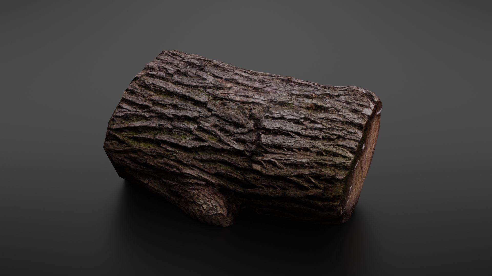 Wood log Low-poly 3D model_5