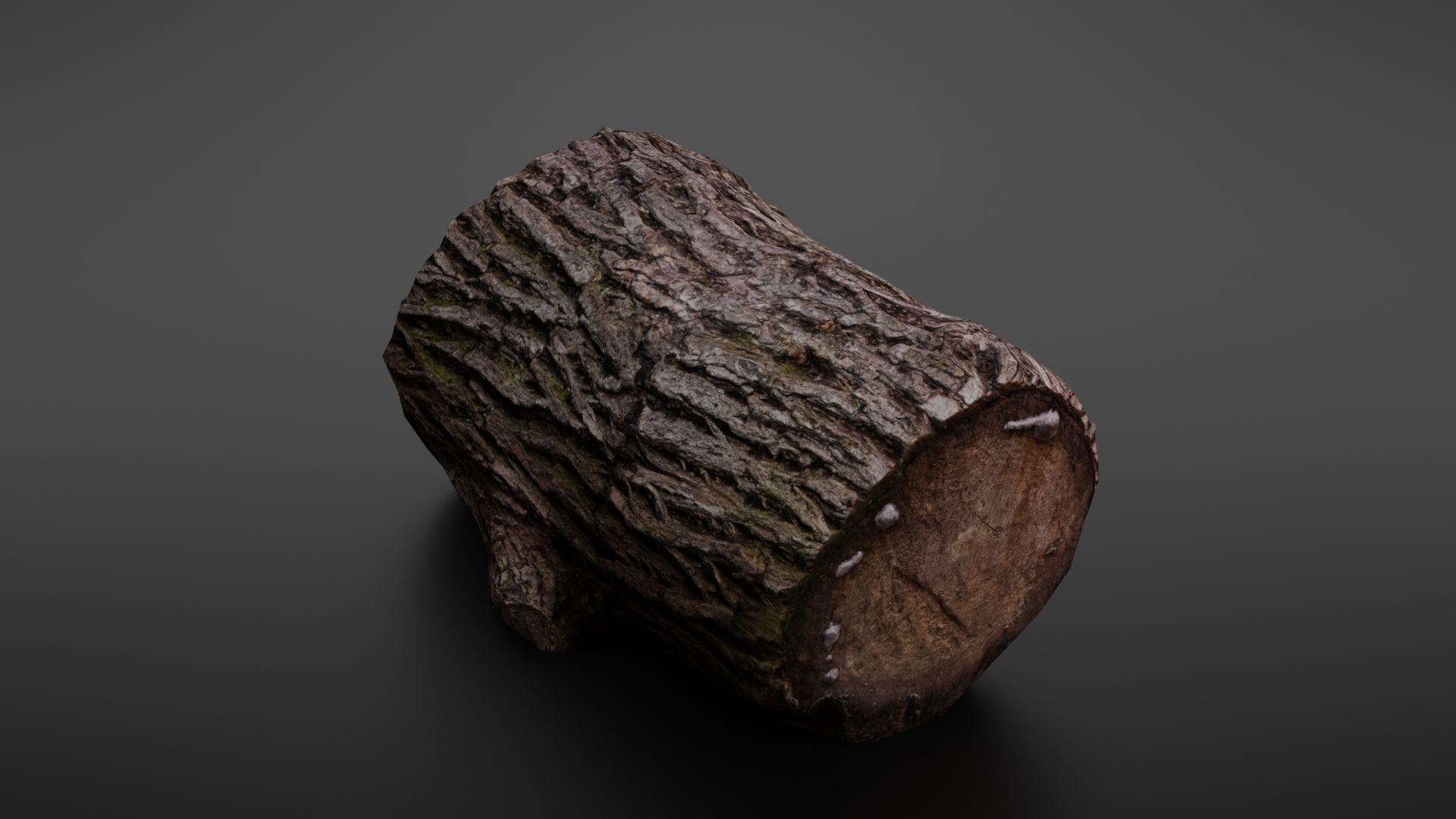 Wood log Low-poly 3D model_20