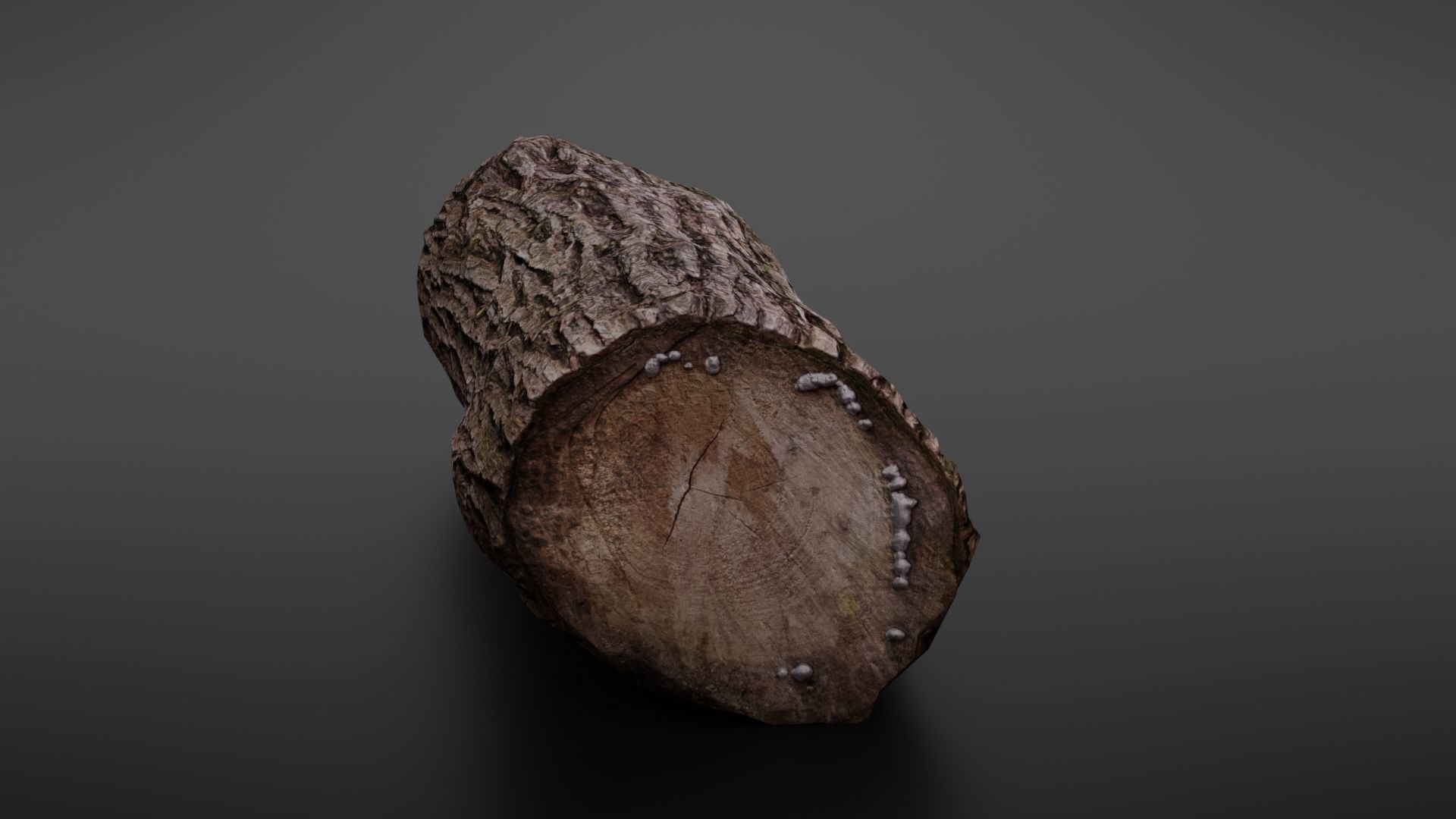 Wood log Low-poly 3D model_11