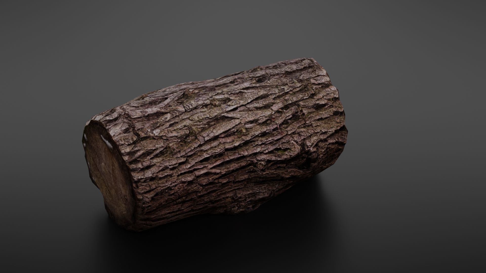 Wood log Low-poly 3D model_15