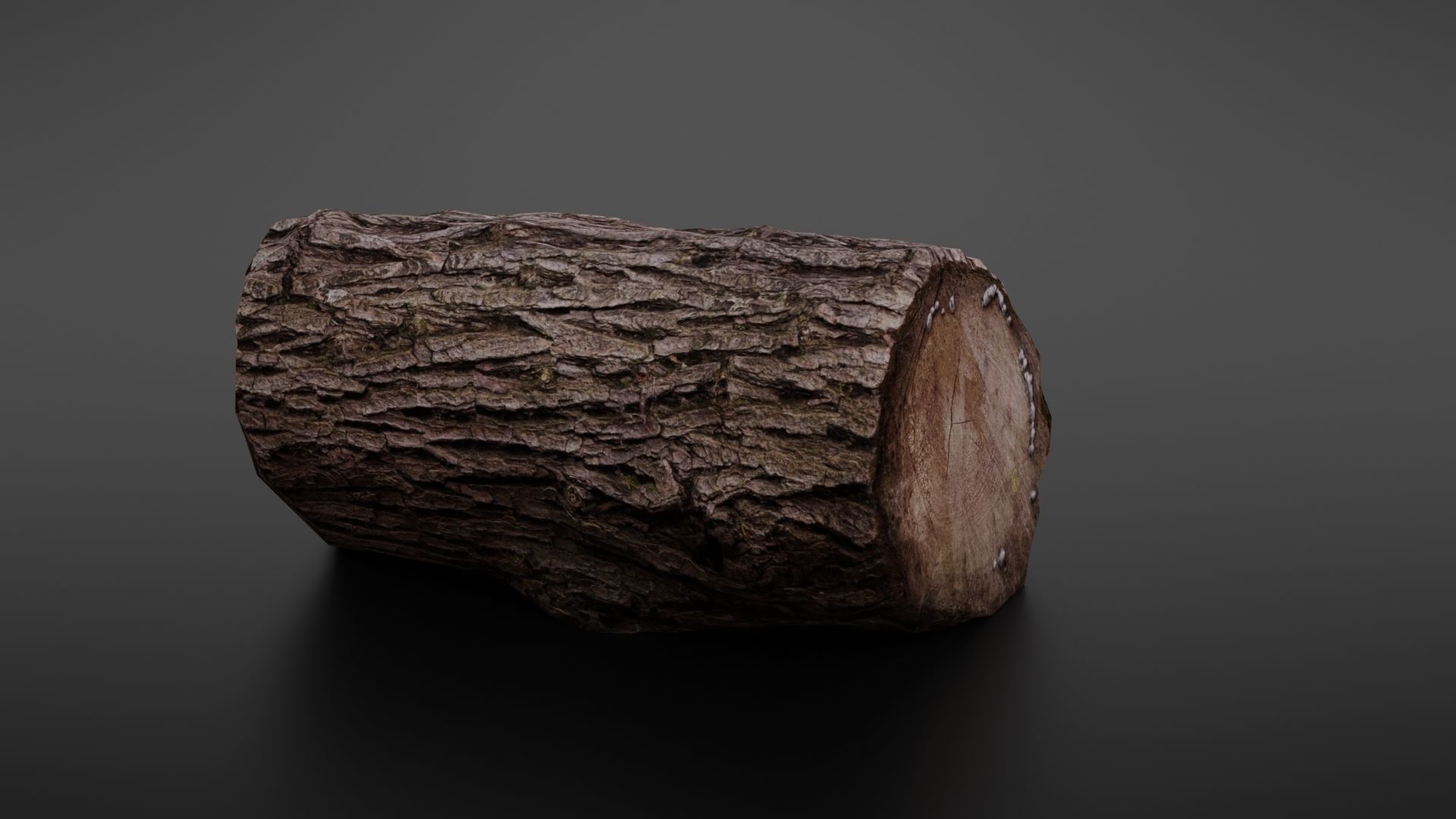 Wood log Low-poly 3D model_13