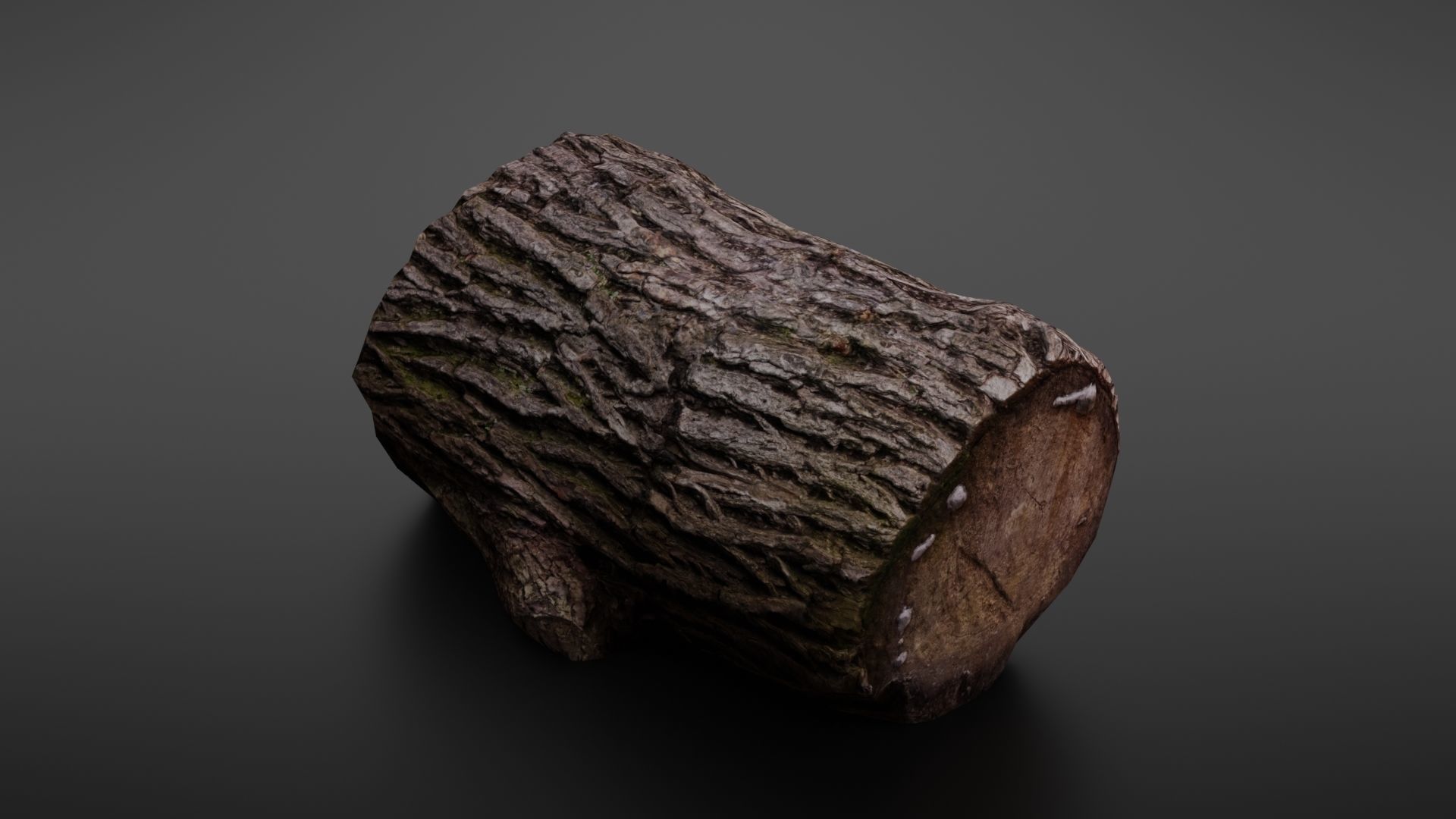 Wood log Low-poly 3D model_2