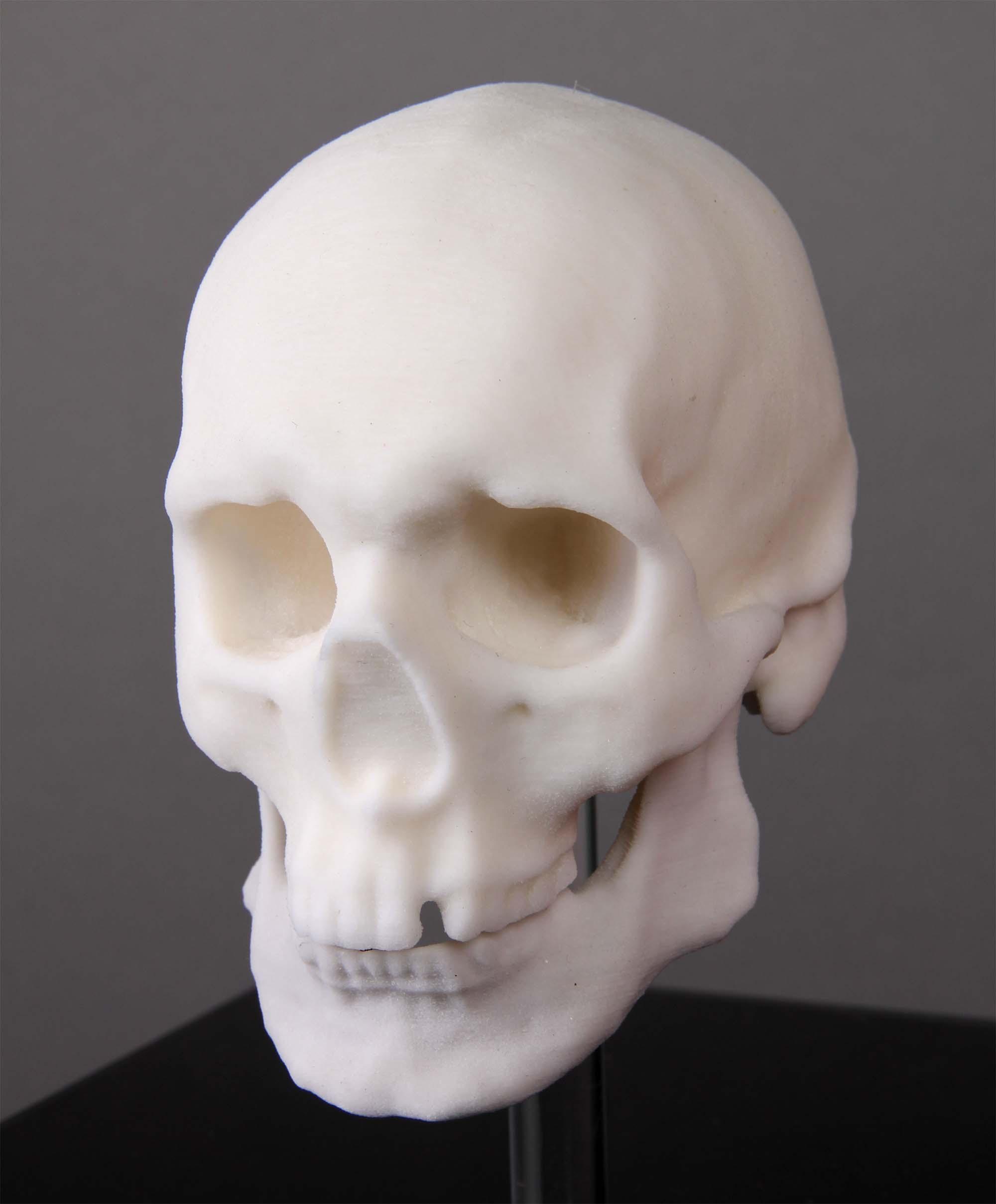 Cranial facial reconstruction - European male skull scan 3D print model_4