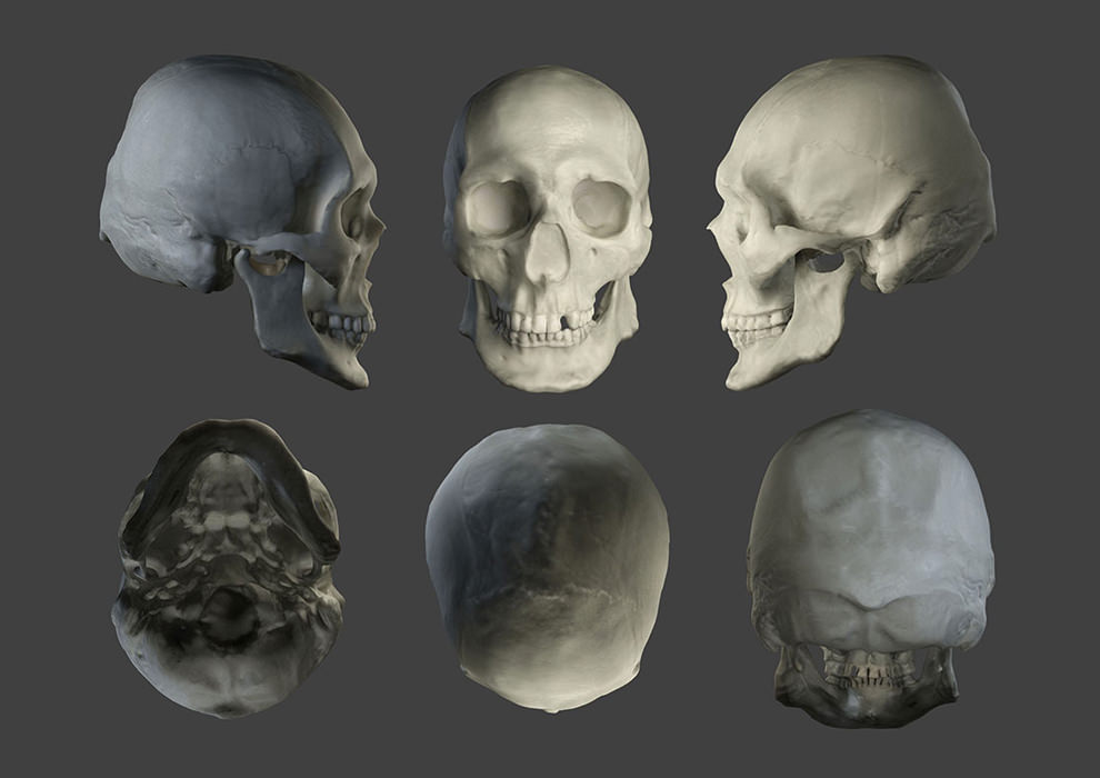 Cranial facial reconstruction - European male skull scan 3D print model_3