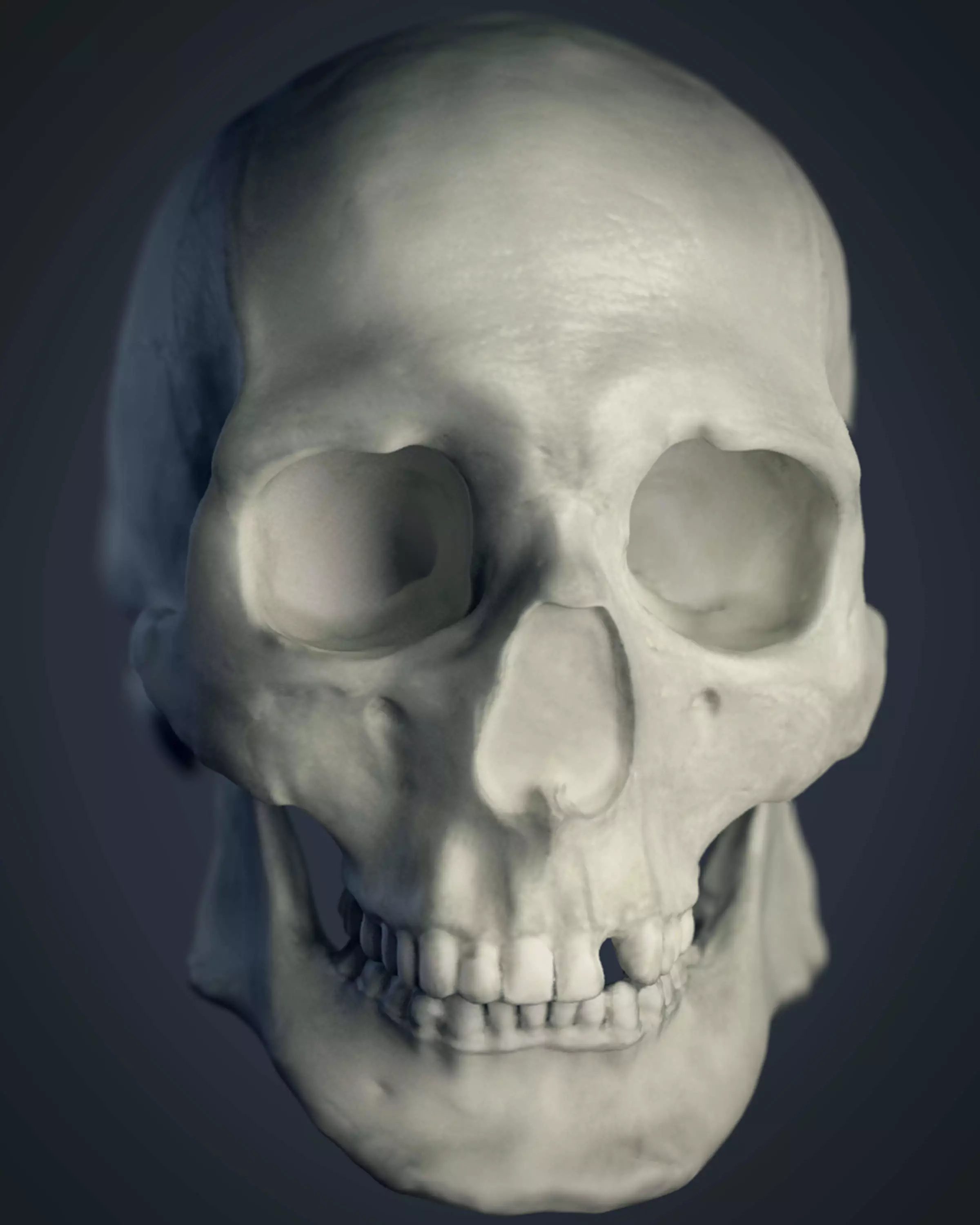 Cranial facial reconstruction - European male skull scan 3D print model_0