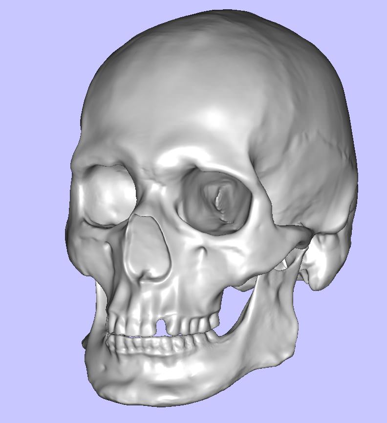 Cranial facial reconstruction - European male skull scan 3D print model_2